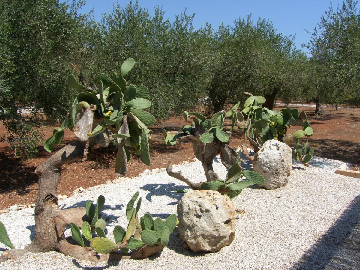 טריקאסה Villa Miliceddu מראה חיצוני תמונה
